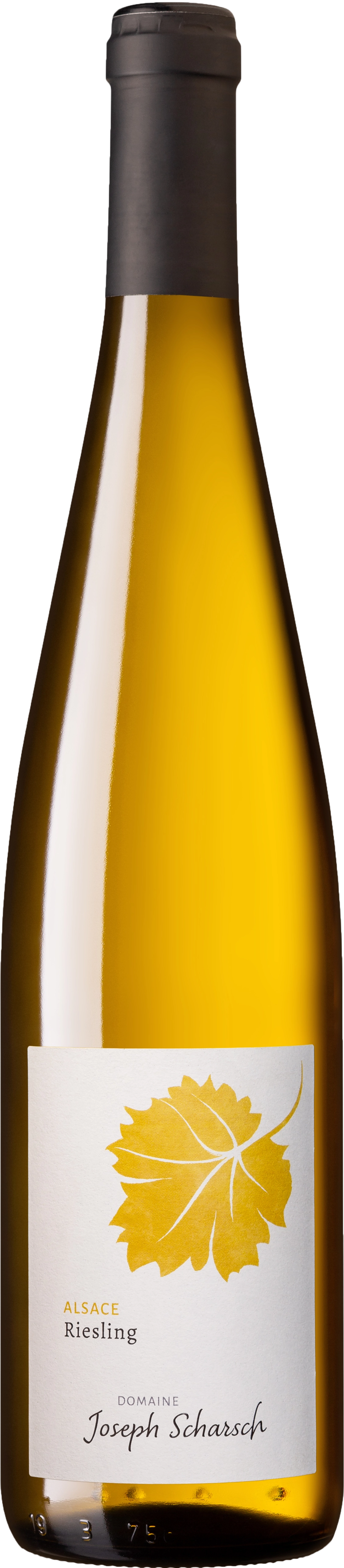 Domaine Joseph Scharsch, Riesling