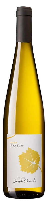 Domaine Joseph Scharsch, Pinot Blanc